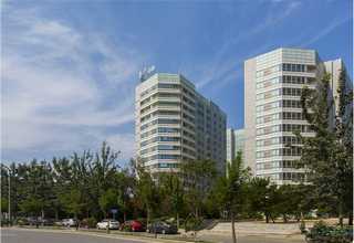 广州深度睡眠枕批发